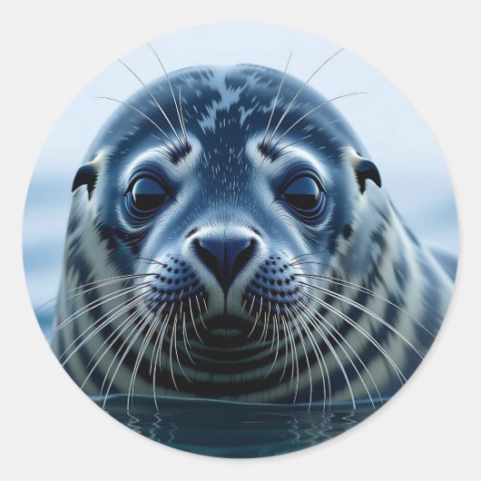 Cute Seal Close up Runder Aufkleber (Vorderseite)