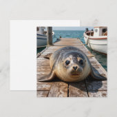 Cute Seal Laying on Boat Dock Ocean Pier (Vorne/Hinten)