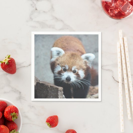 Cute Serviette (Beispiel)