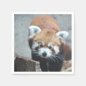 Cute Serviette (Vorderseite)