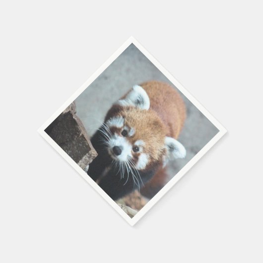 Cute Serviette (Ecke)