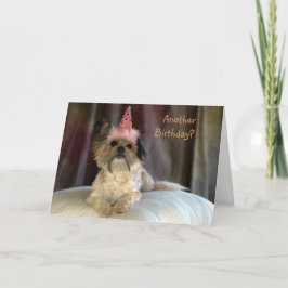 Cute Shaggy Dog Birthday Card Karte