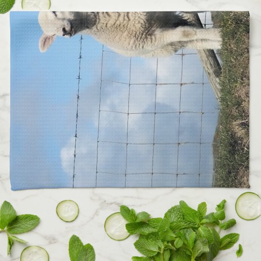 CUTE SHEEP GESCHIRRTUCH (Gefaltet)