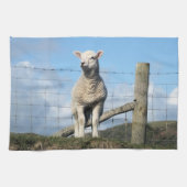 CUTE SHEEP GESCHIRRTUCH (Horizontal)