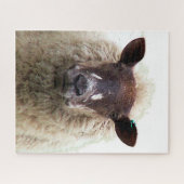 CUTE SHEEP PUZZLE (Horizontal)