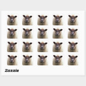 CUTE SHEEP QUADRATISCHER AUFKLEBER (Blatt)