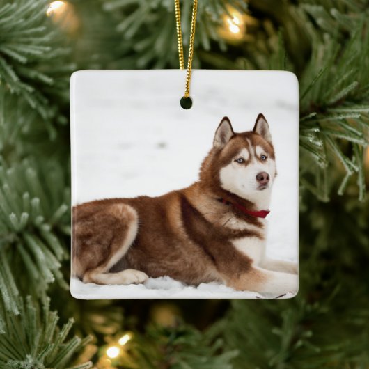 Cute Siberian Husky Portrait Keramikornament (Baum)