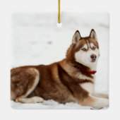 Cute Siberian Husky Portrait Keramikornament (Rückseite)