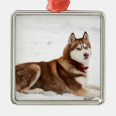 Cute Siberian Husky Portrait Ornament Aus Metall (Vorne)