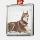 Cute Siberian Husky Portrait Ornament Aus Metall (Links)