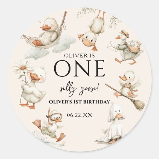 cute Silly Goose ,One Silly Goose 1st Party Runder Aufkleber (Vorderseite)