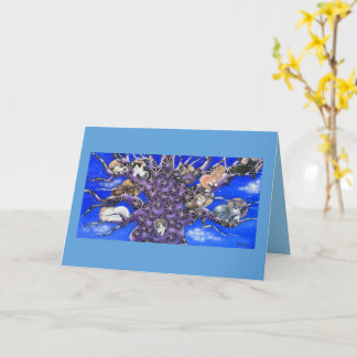 Cute Sleeping Cats in Tree  Karte