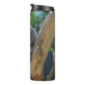 Cute Sleeping Koala in Tree Thermosbecher (Nach rechts gedreht)