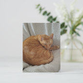 Cute Sleepy Ginger Kitty Postkarte (Stehend Vorderseite)