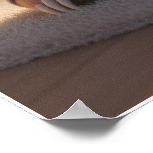 Cute Sleepy Sloth Pajamas Art Poster (Ecke)