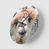 Cute Smiling Alpaca Photo Image Runde Wanduhr (Winkel)