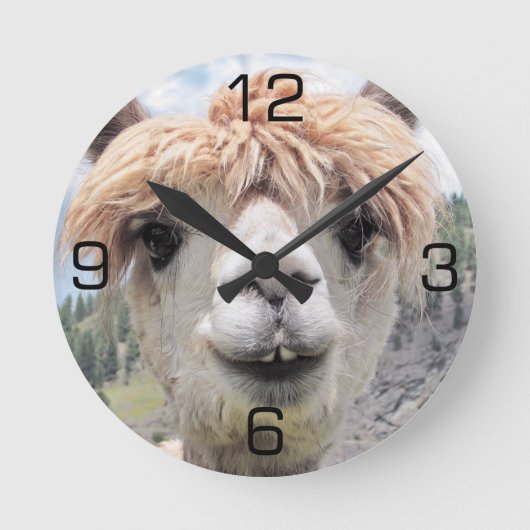 Cute Smiling Alpaca Photo Image Runde Wanduhr (Vorderseite)
