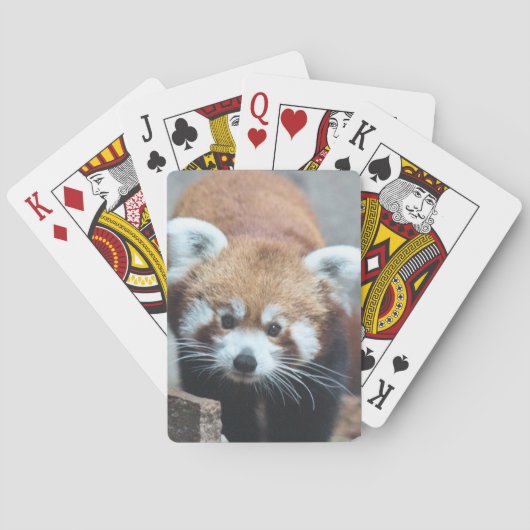 Cute Spielkarten (Rückseite)