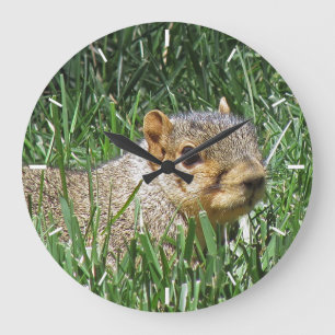 Cute Squirrel in Grass Photo Round Clock Große Wanduhr