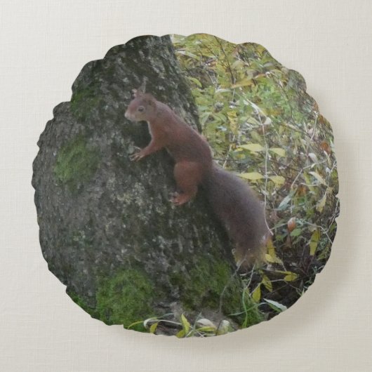 Cute Squirrel on Tree Trunk Round Pillow Rundes Kissen (Vorderseite)