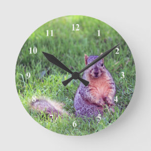 Cute Squirrel Wildlife Photo Runde Wanduhr