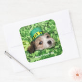 Cute St. Patrick's Day Puppy Quadratischer Aufkleber (Umschlag)