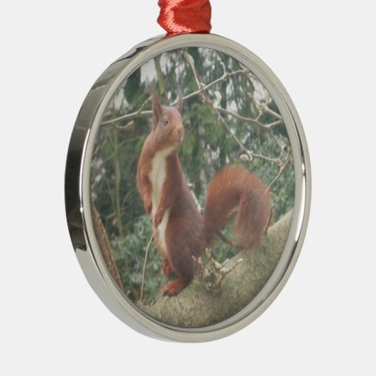 Cute Standing Squirrel Metal Ornament (Rechts)
