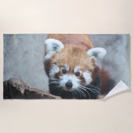 Cute Strandtuch (Vorderseite)