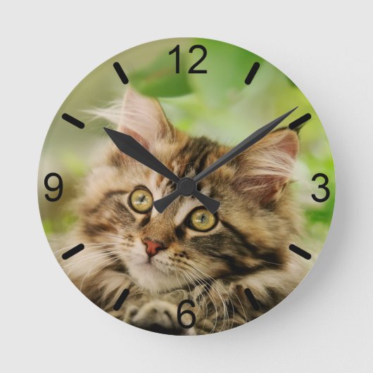 Cute Tabby Maine Coon Cat Kitten Fluffy Head Foto Runde Wanduhr (Vorderseite)