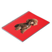 Cute Teacup Poodle Red Folder Notizblock (Linke Seite)