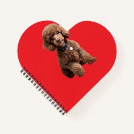 Cute Teacup Poodle Red Folder Notizblock