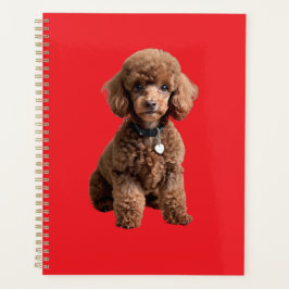 Cute Teacup Poodle Red Folder Planer
