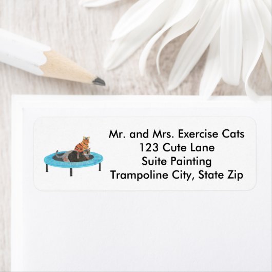 Cute Trampoline Cats Exercise Address Labels (Insitu)
