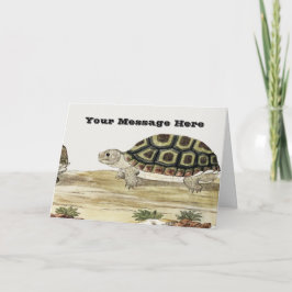 Cute Turtle Illustration Folded Greeting Card Karte
