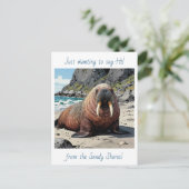 Cute Walrus on a Sandy Beach | Saying Hello Postkarte (Stehend Vorderseite)