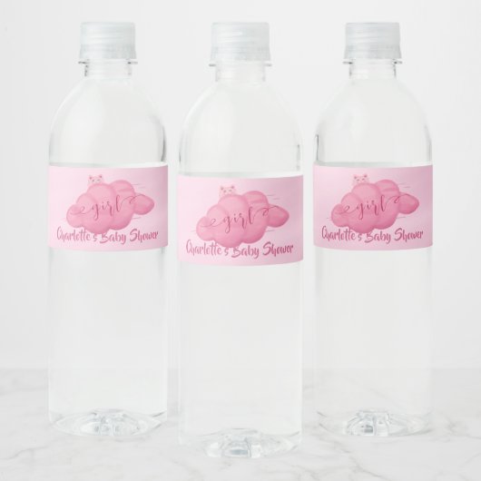 Cute Watercolor Cloud Baby Girl Shower Wasserflaschenetikett (Flaschen)
