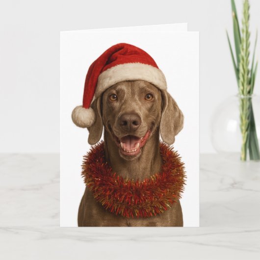 Cute Weimaraner Christmas card Karte (Vorderseite)