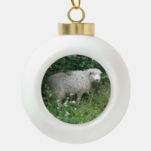 Cute White Fluffy Sheep Eating Ornament (Vorderseite)