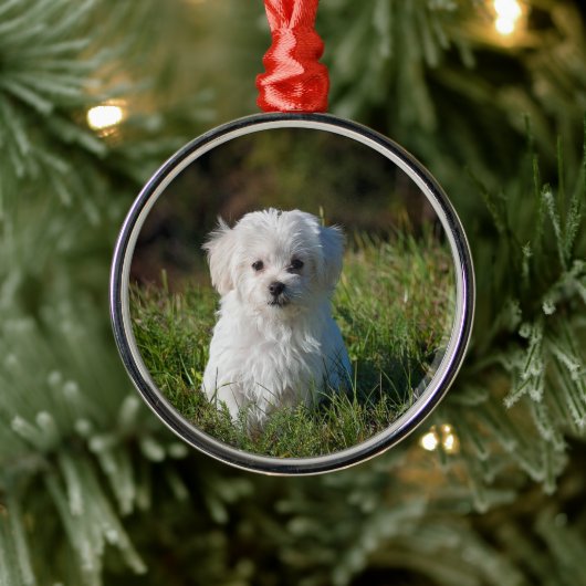Cute white puppy ornament aus metall (Baum)