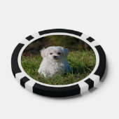 Cute white puppy pokerchips (Einzeln)
