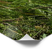 Cute white puppy poster (Ecke)