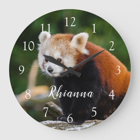 Cute Wild Red Panda Photo Personalized Große Wanduhr (Vorderseite)