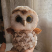 Cute Wildlife Of An Owl's Echo: Autumn's Guardian Poster