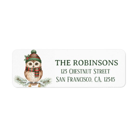 Cute Winter Owl Snow Return Address Label (Vorne)