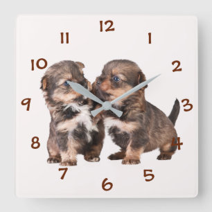 Cute Yorkshire Puppies Quadratische Wanduhr