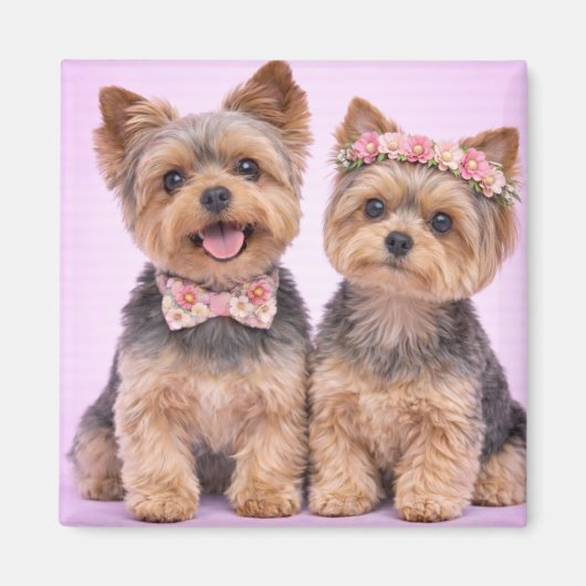 Cute Yorkshire Terrier Couple Valentine Magnet (Vorne)