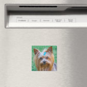 Cute Yorkshire Terrier Dog Head Magnet (In Situ (Geschirrspüler))