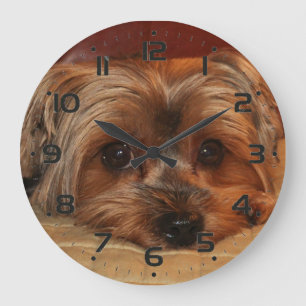Cute Yorkshire Terrier Puppy Große Wanduhr