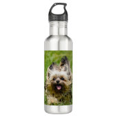 Cute Yorkshire Terrier Running Through Grass Edelstahlflasche (Vorderseite)