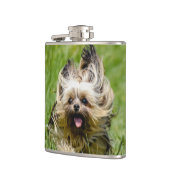 Cute Yorkshire Terrier Running Through Grass Flachmann (Links)